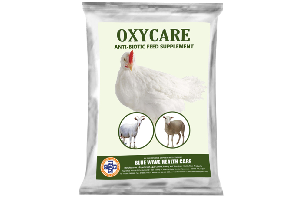 OXYCARE (Anti-biotic feed supplement)
